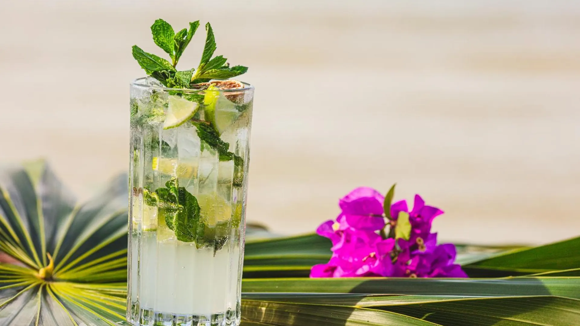 فندق Casa Punta Coco & Beach Club (Adults Only) جزيرة هول بوكس