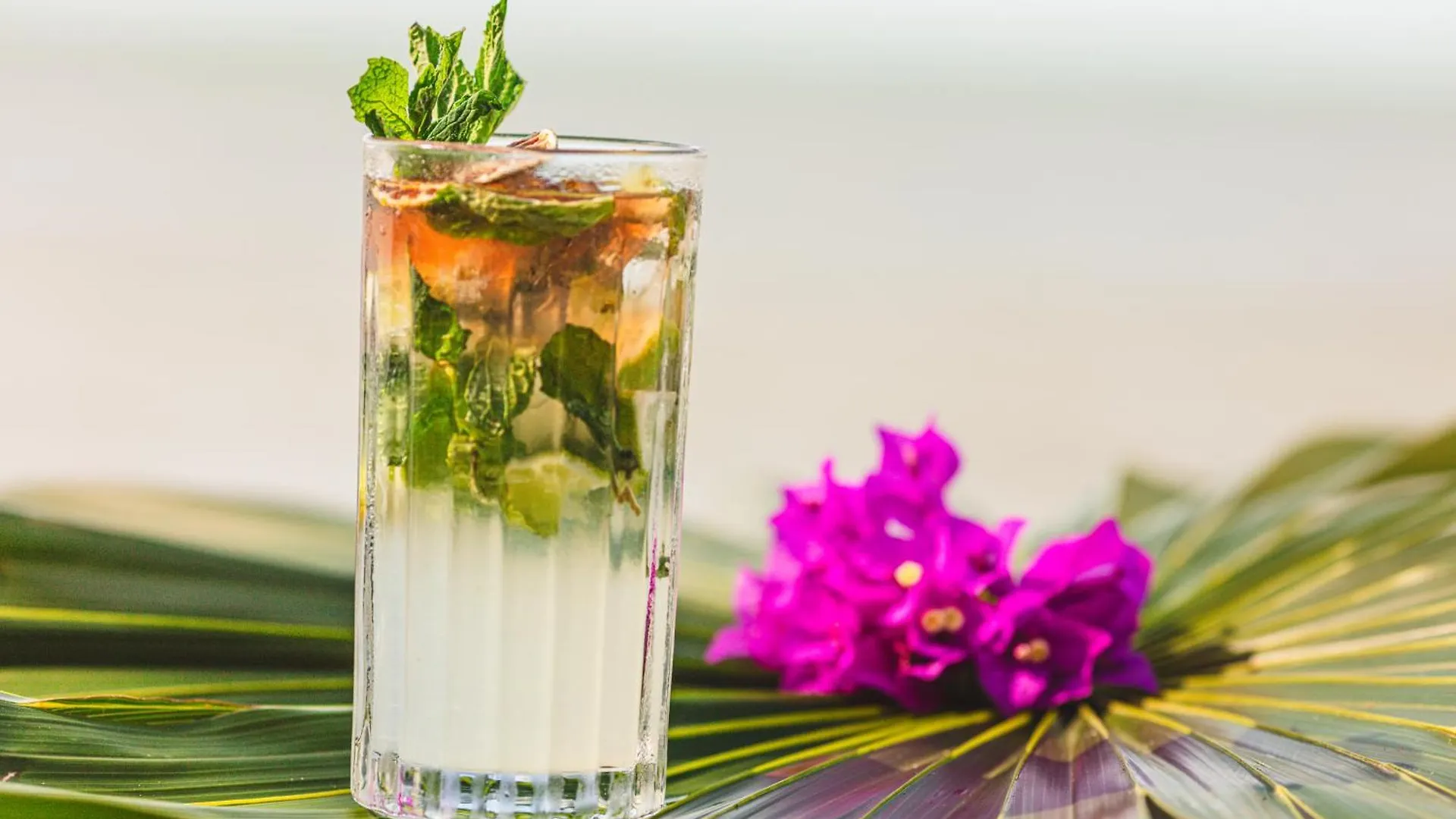 Casa Punta Coco & Beach Club (Adults Only) Holbox Mexique