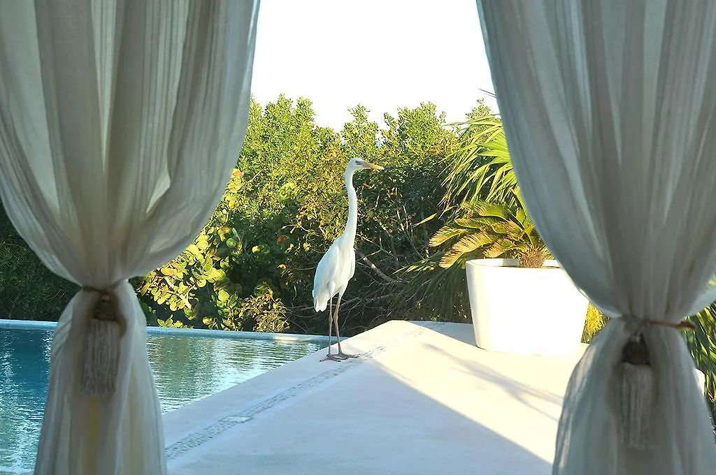 Hotel Casa Punta Coco & Beach Club - Adults Only Isla Holbox