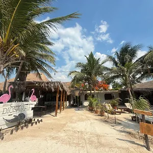 La Diosa Kali Beach Front *** Isla Holbox