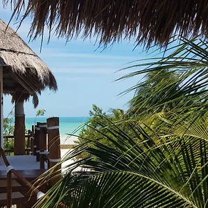 Ventana Al Paraiso Beach Front Adults Only *** Isla Holbox